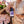 Load image into Gallery viewer, Close-up of the torsos of a man and woman, both formally dressed. The woman holds two wine glasses in one hand and a bottle of a non-alcoholic cocktail in the other. The man holds a bouqet.
